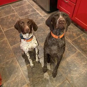 Meet your Posher, Sewell